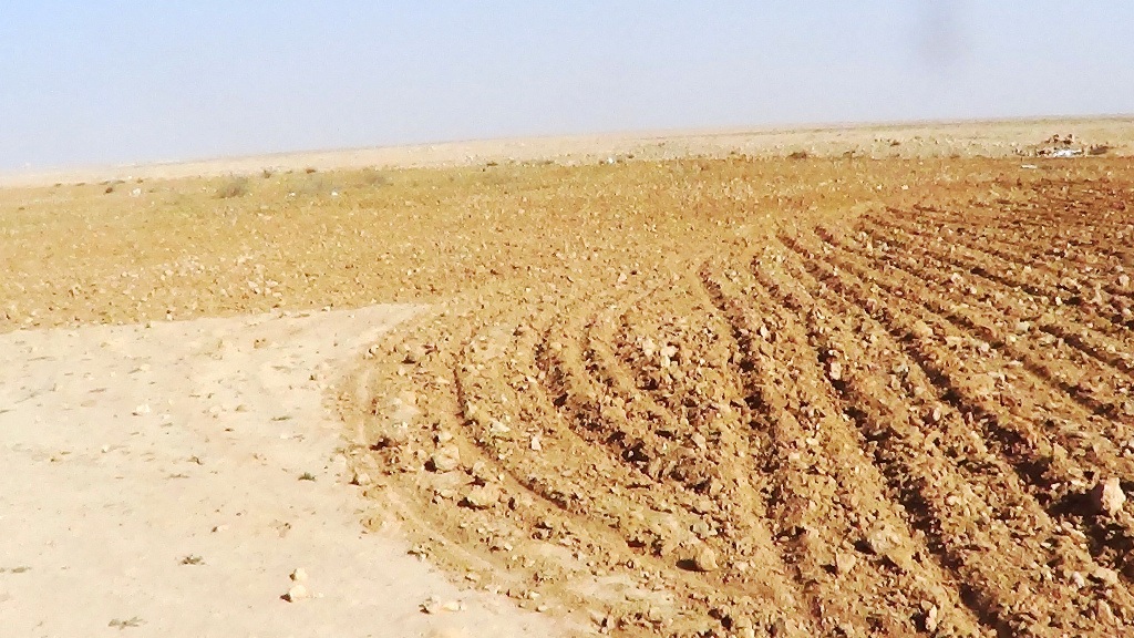 محافظة مطروح استعدت لمواجهة آثار الأمطار وحصادها  (3)