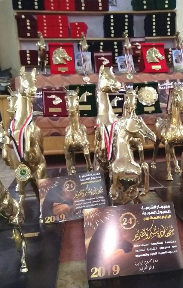  مهرجان الشرقية للخيول العربية  (4)