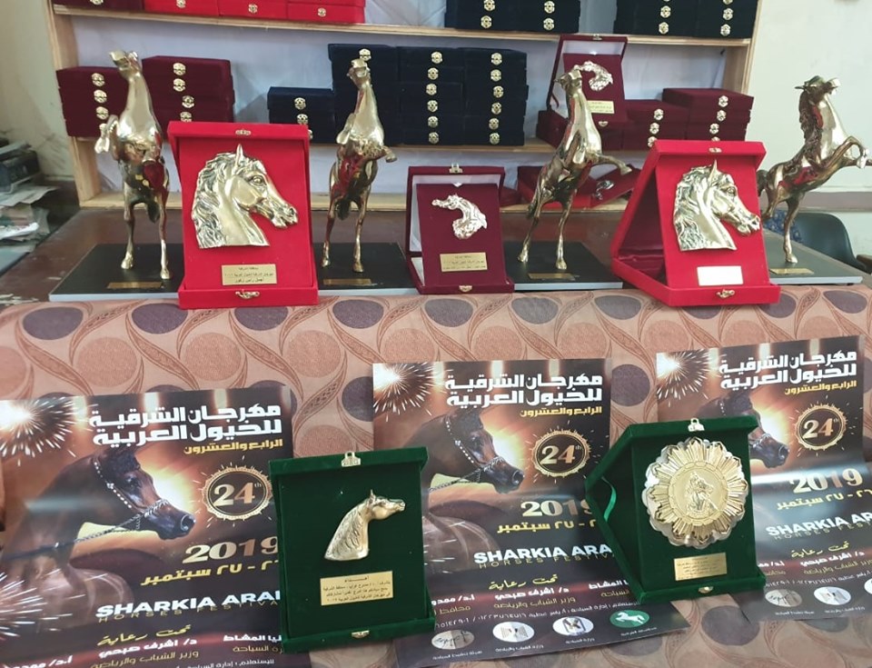  مهرجان الشرقية للخيول العربية  (5)