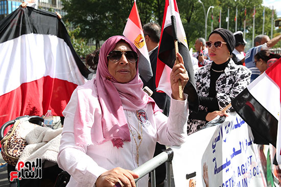 الجالية المصرية تنظم وقفة تأييد السيسي (6)