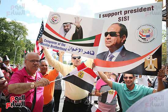 الجالية المصرية تنظم وقفة تأييد السيسي (4)