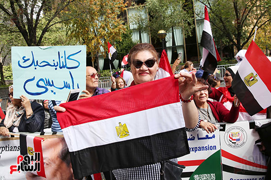 الجالية المصرية تنظم وقفة تأييد السيسي (3)