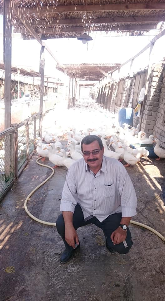 مزارع البط بدمياط (4)