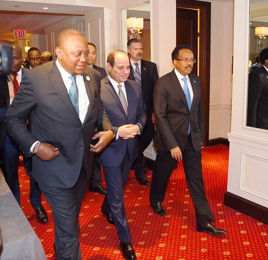 الرئيس عبد الفتاح السيسي ورئيسى الصومال وكينيا (3)