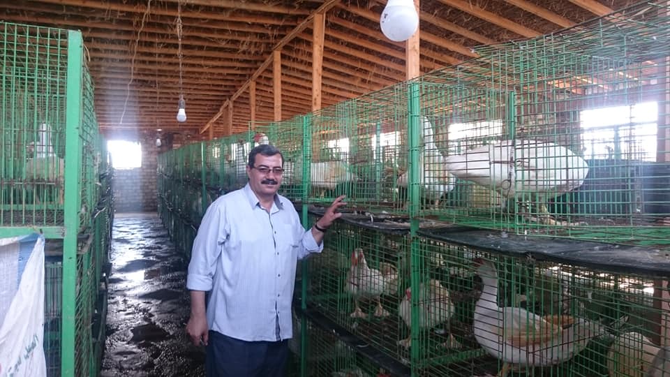 مزارع البط بدمياط (1)