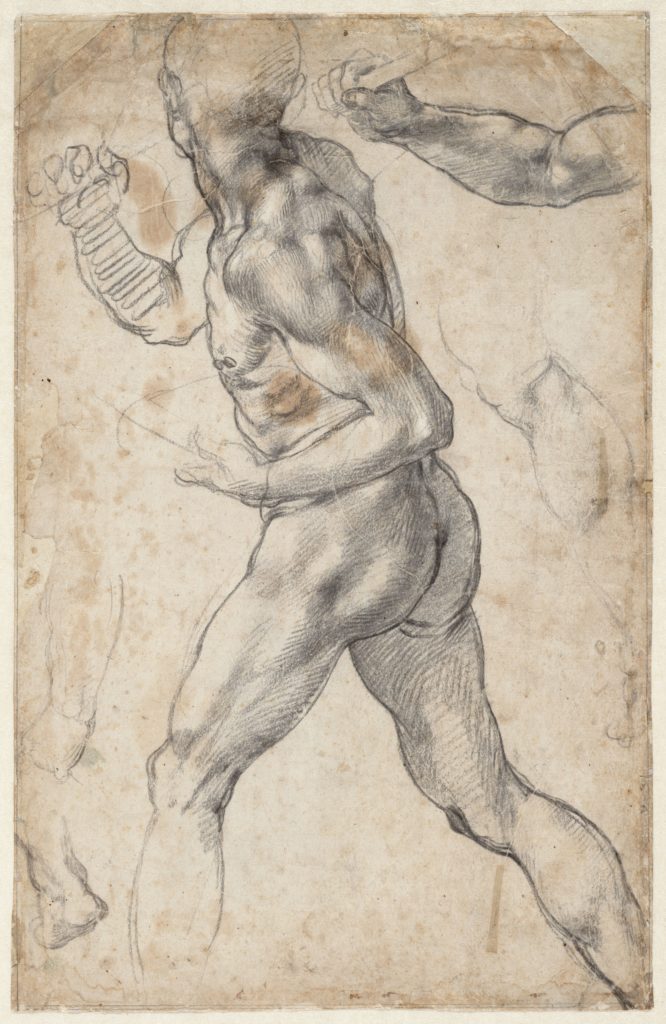 دراسة لرجل عاري يخطو ، إلى اليسار ؛ دراسات من التفاصيل التشريحية (1504 من 1506)
