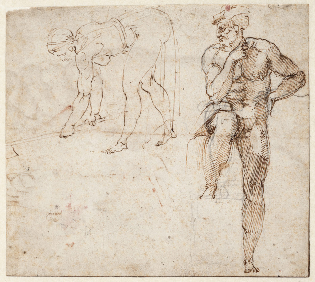 دراسات في الساق اليسرى وأربع دراسات للركبة (1523–244)