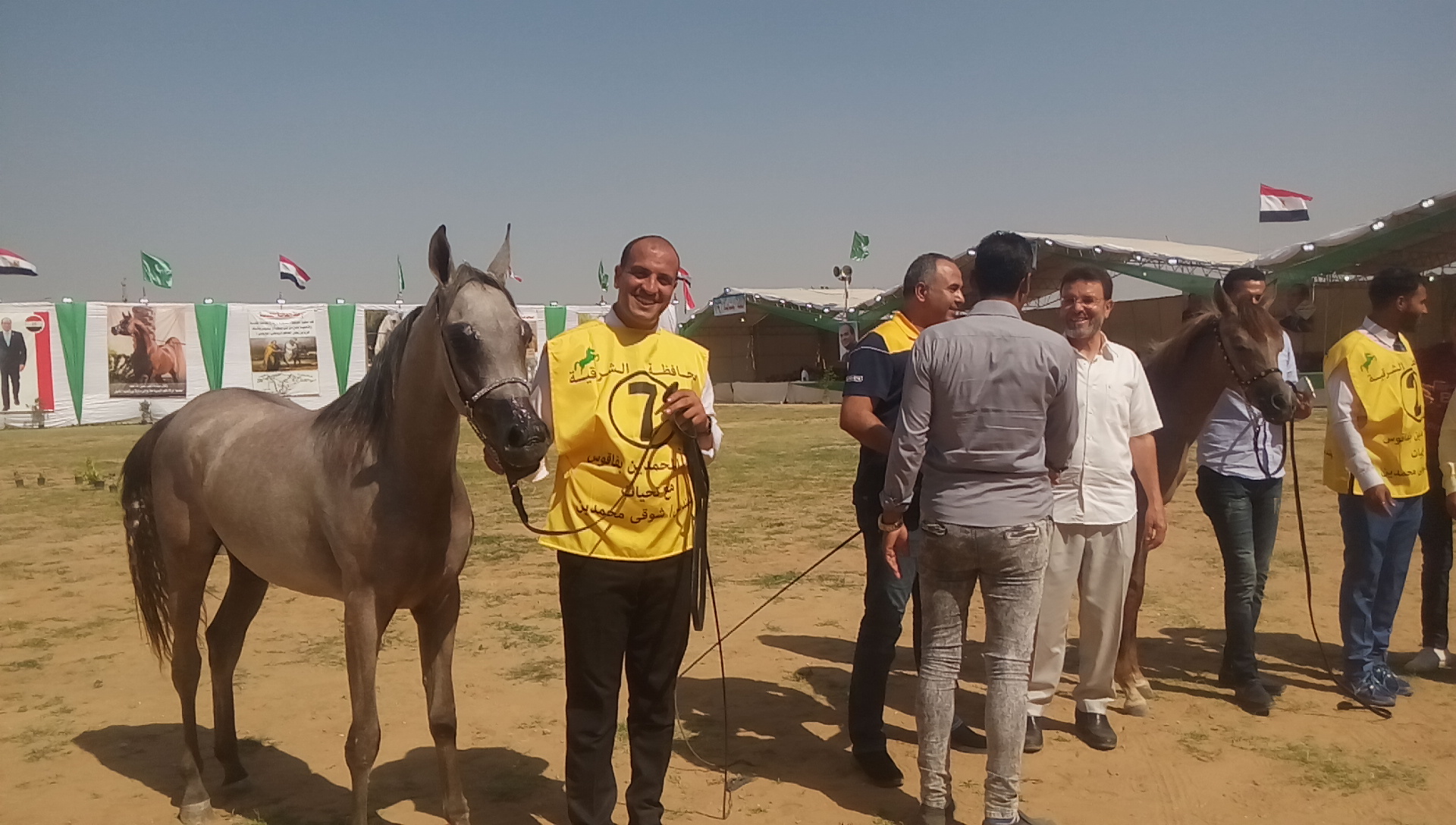 مهرجان الشرقية للخيول العربية