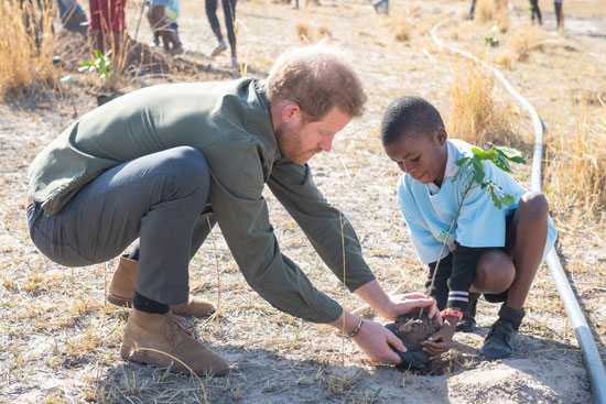 الأمير هارى يشارك طفل فى زراعة شجرة