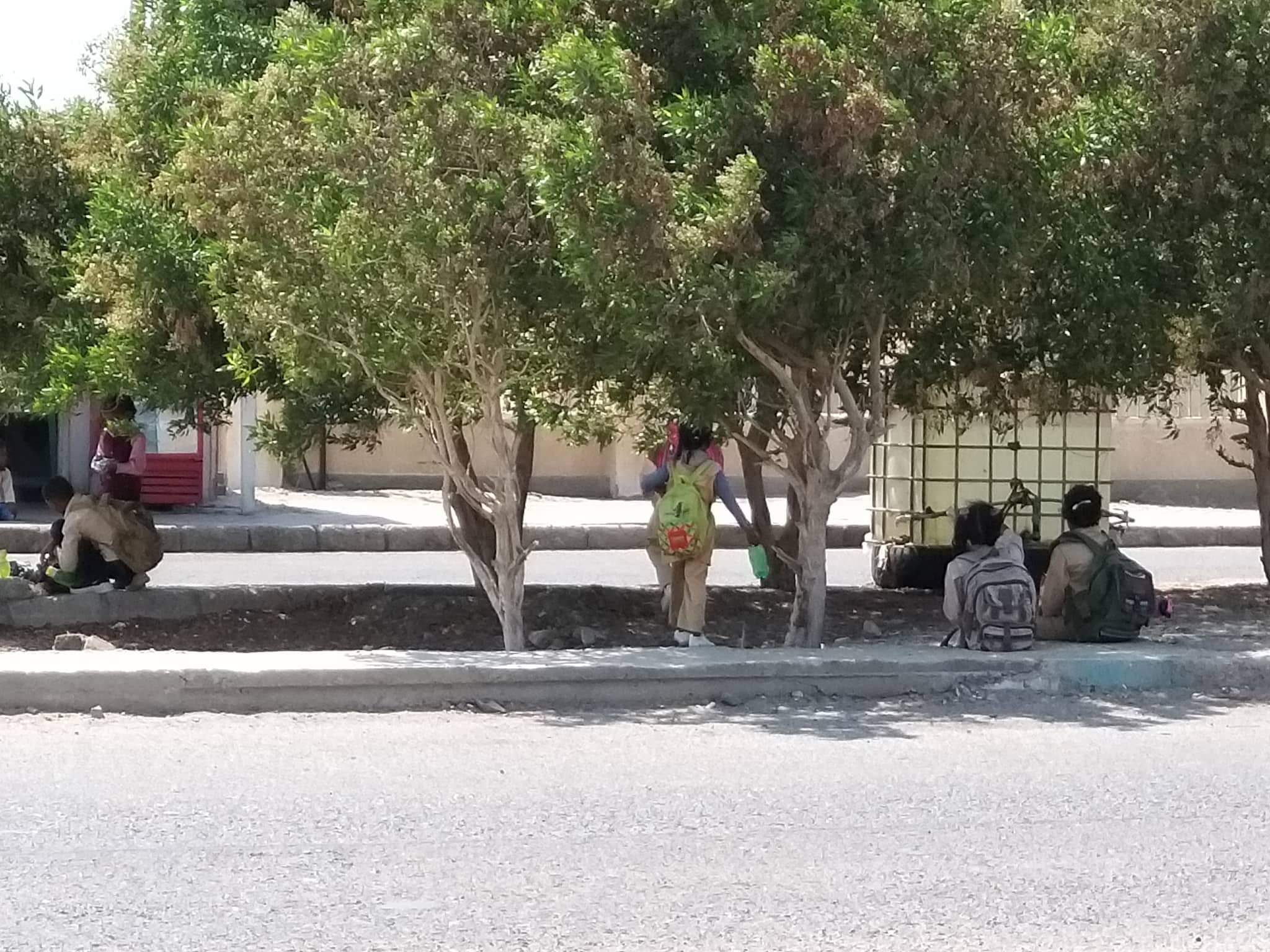 4- الطلاب يستظلون بالاشجار بعد الخروج من المدارس