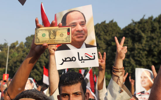 مظاهرات تأييد الدولة المصرية