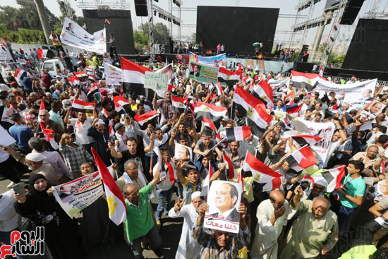 تظاهرات دعم مصر  (9)