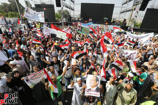 تظاهرات دعم مصر  (17)