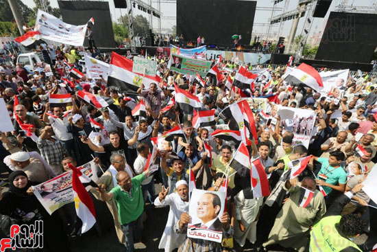 تظاهرات دعم مصر  (21)