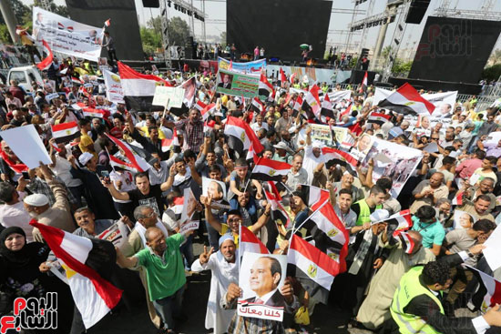تظاهرات دعم مصر  (12)
