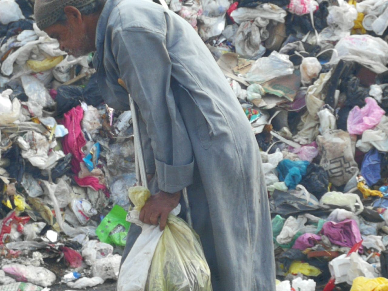 القمامة تحاصر شركة طنطا للزيوت والصابون (5)