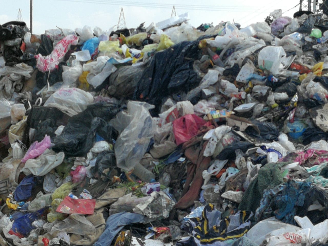 القمامة تحاصر شركة طنطا للزيوت والصابون (7)