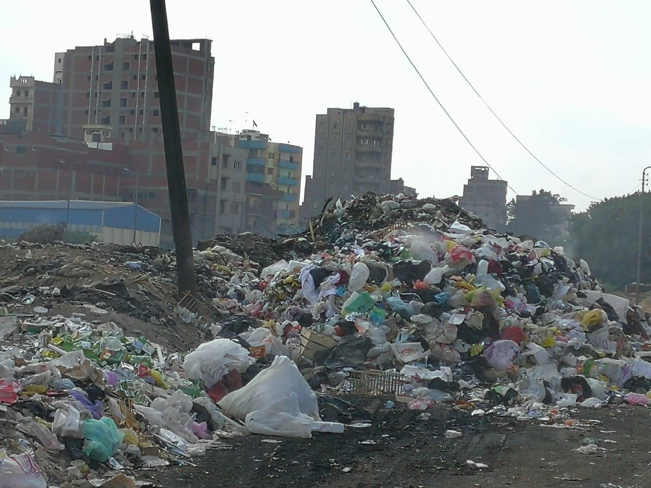 القمامة تحاصر شركة طنطا للزيوت والصابون (2)