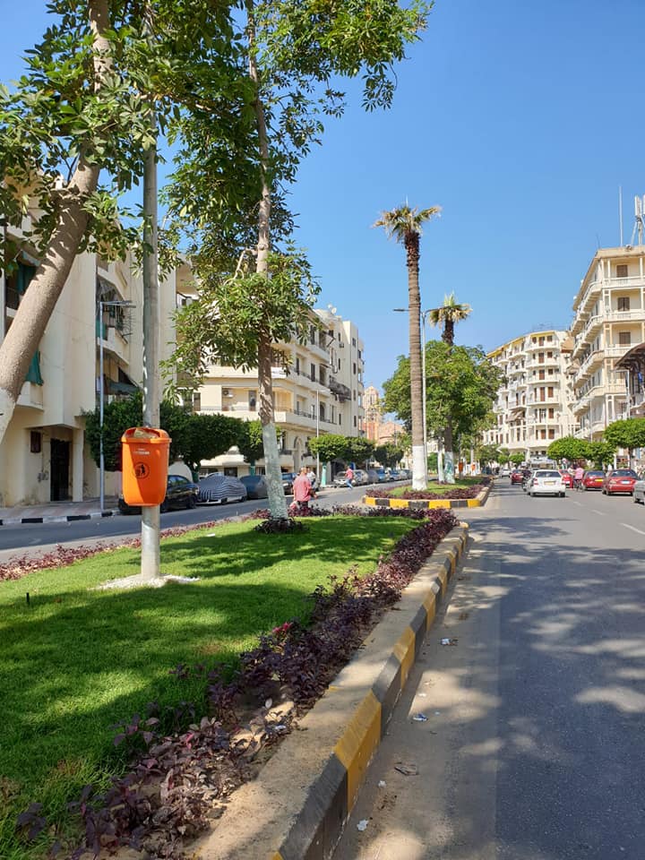 أحياء سكنية بمحافظة بورسعيد (1)