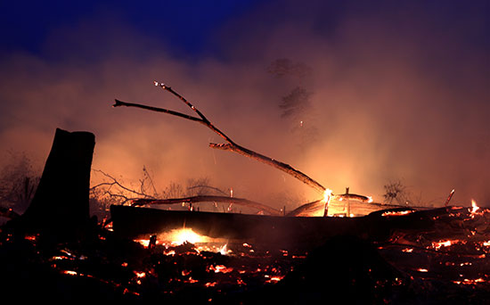 حرائق الأشجار فى الأمازون