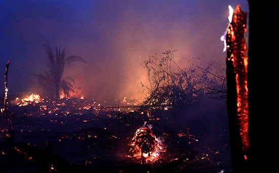 حرائق غابات الأمازون فى البرازيل