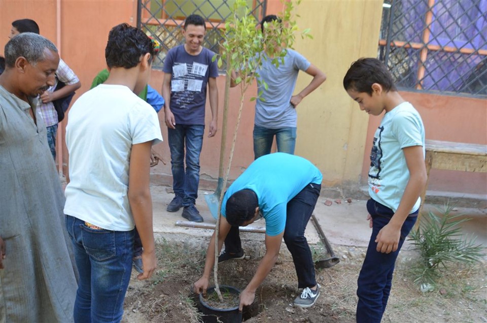 قيادات إسنا يشاركون شباب المدرسة الحديثة بعزبة صقر في زراعة 50 شجرة (3)