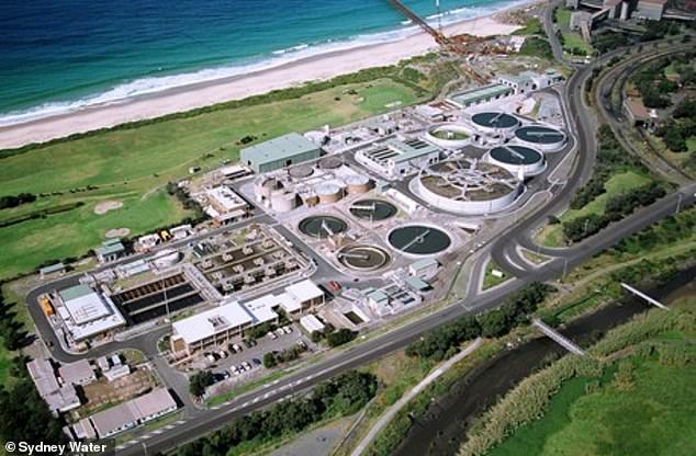 18651408-7471497-The_Wollongong_water_treatment_plant_pictured_recycles_water_for-m-16_1568863147258