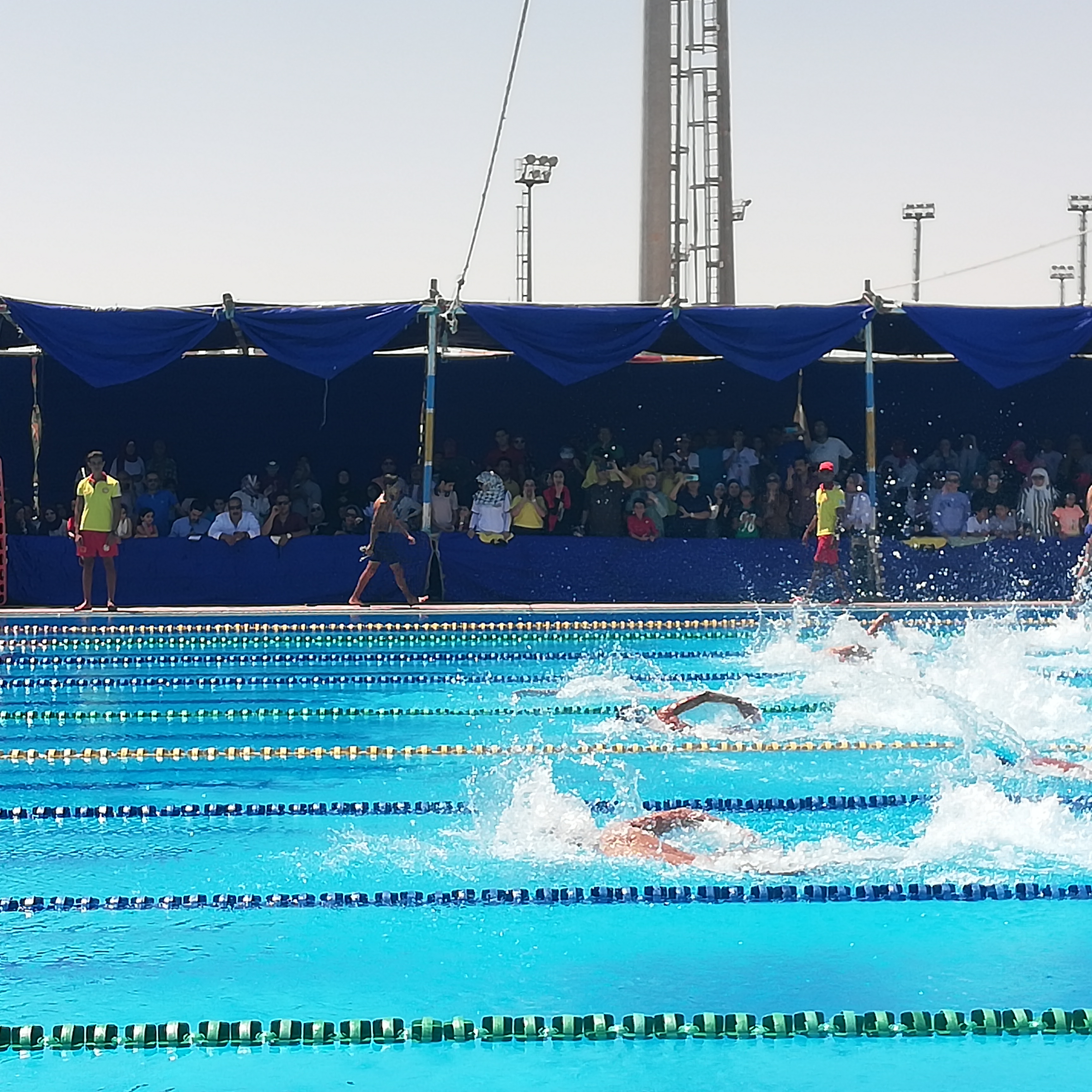بطولة الصعيد للسباحة القصيرة بمدينة الغردقة  (4)