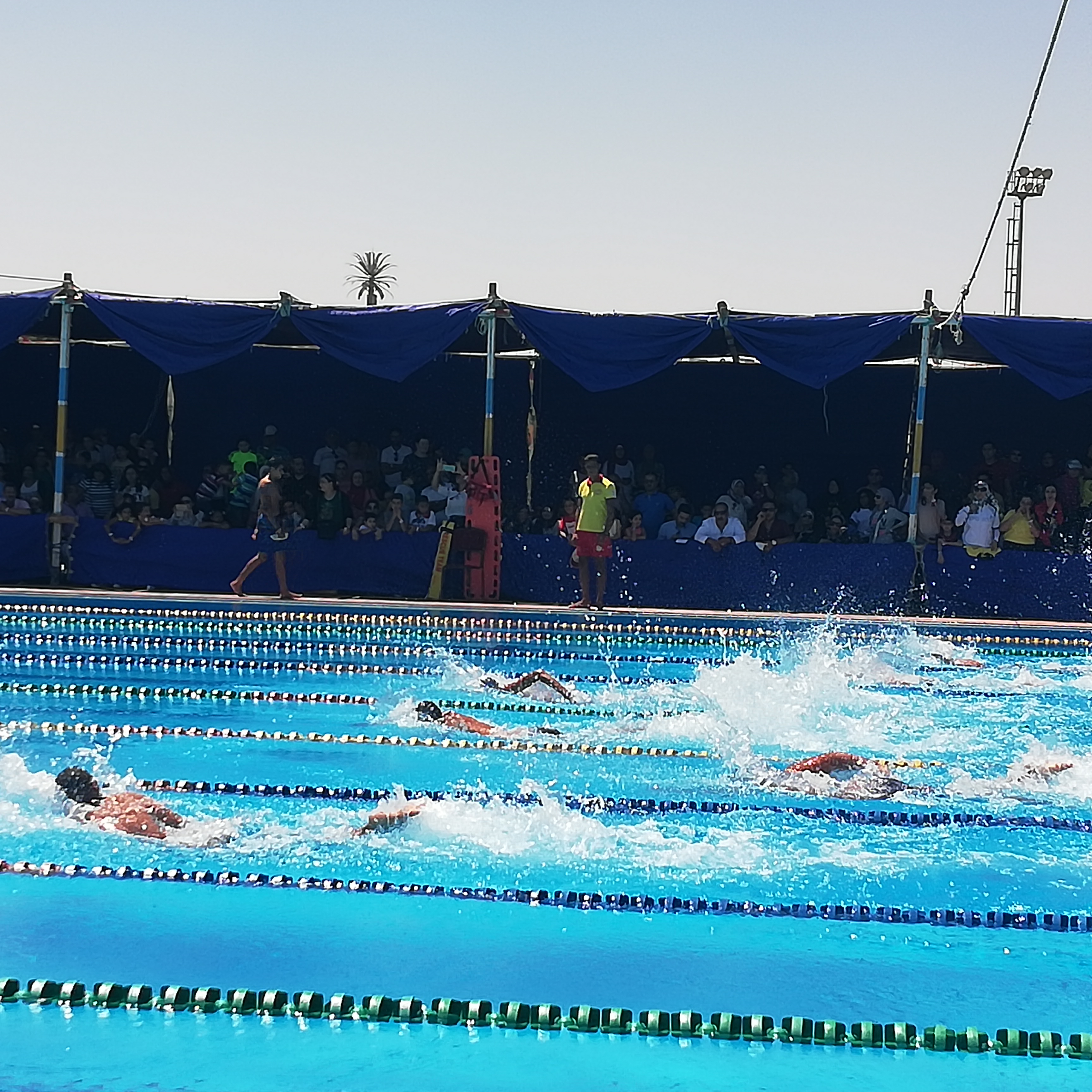 بطولة الصعيد للسباحة القصيرة بمدينة الغردقة  (5)