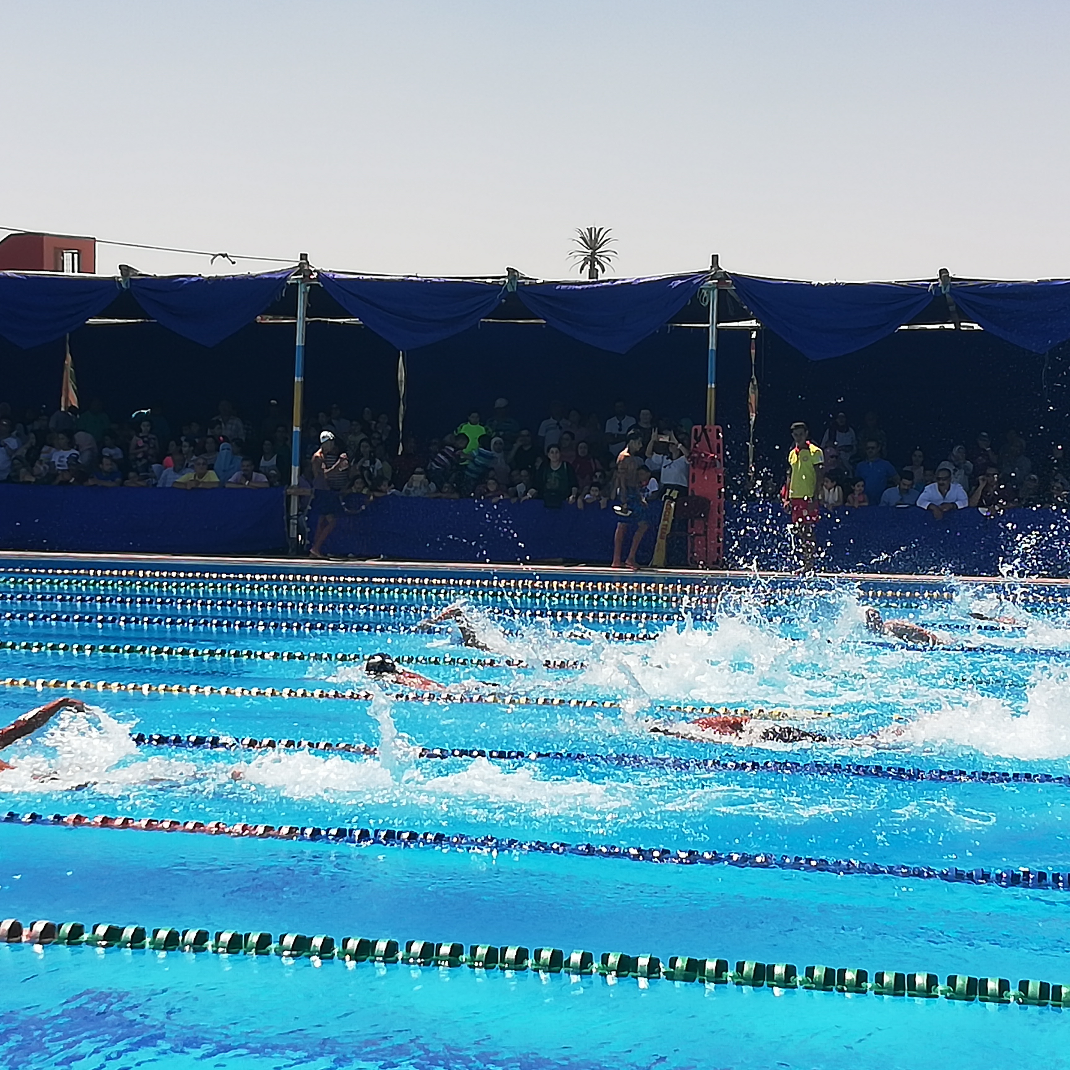 بطولة الصعيد للسباحة القصيرة بمدينة الغردقة  (6)