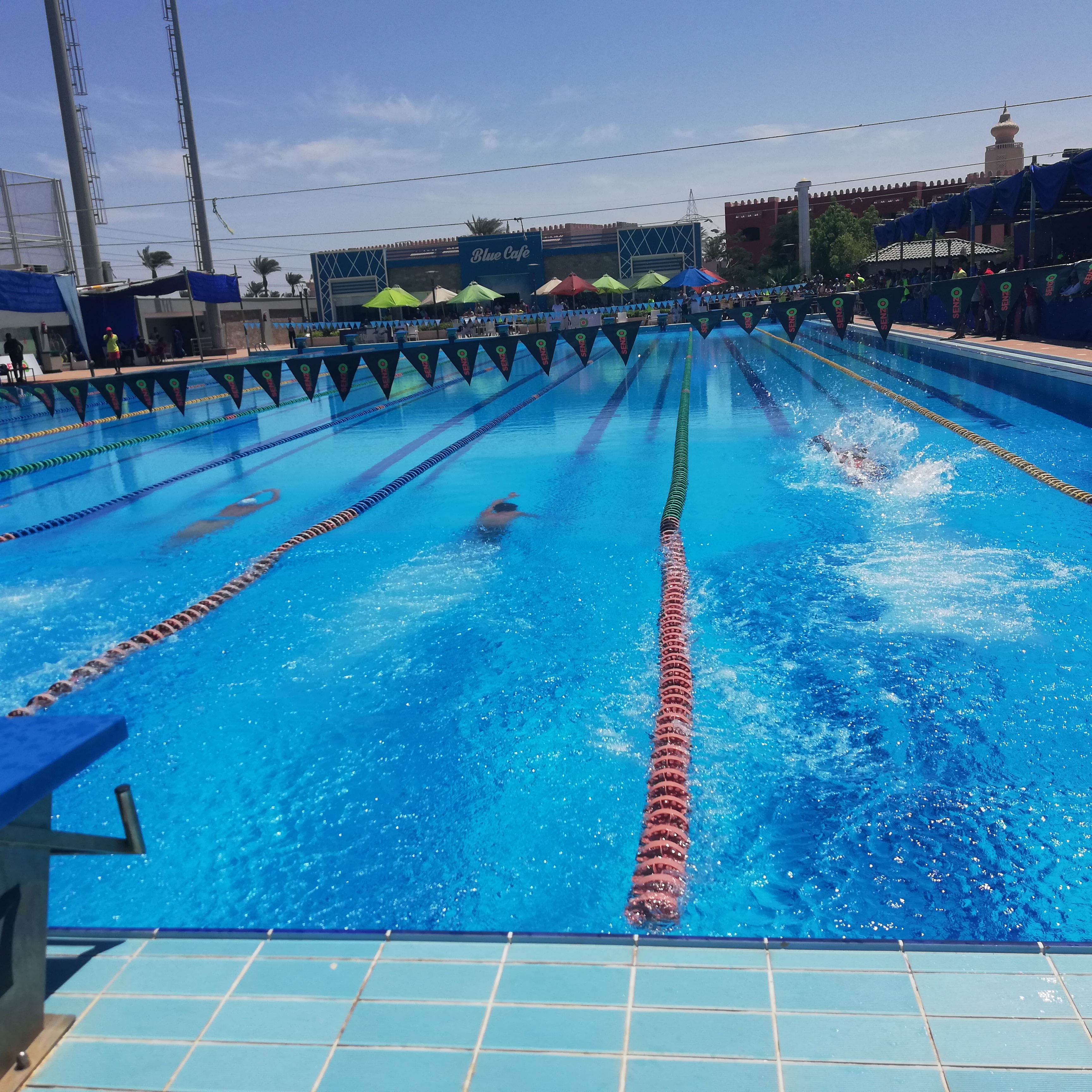 بطولة الصعيد للسباحة القصيرة بمدينة الغردقة  (3)