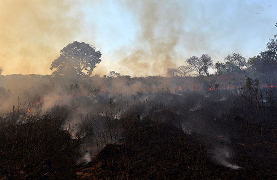سكان منطقة أغوا ابوا يحاولون السيطرة على النقاط الساخنة فى حرائق الأمازون (5)