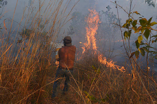سكان منطقة أغوا ابوا يحاولون السيطرة على النقاط الساخنة فى حرائق الأمازون (9)