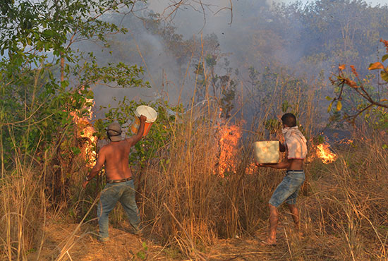 سكان منطقة أغوا ابوا يحاولون السيطرة على النقاط الساخنة فى حرائق الأمازون (8)