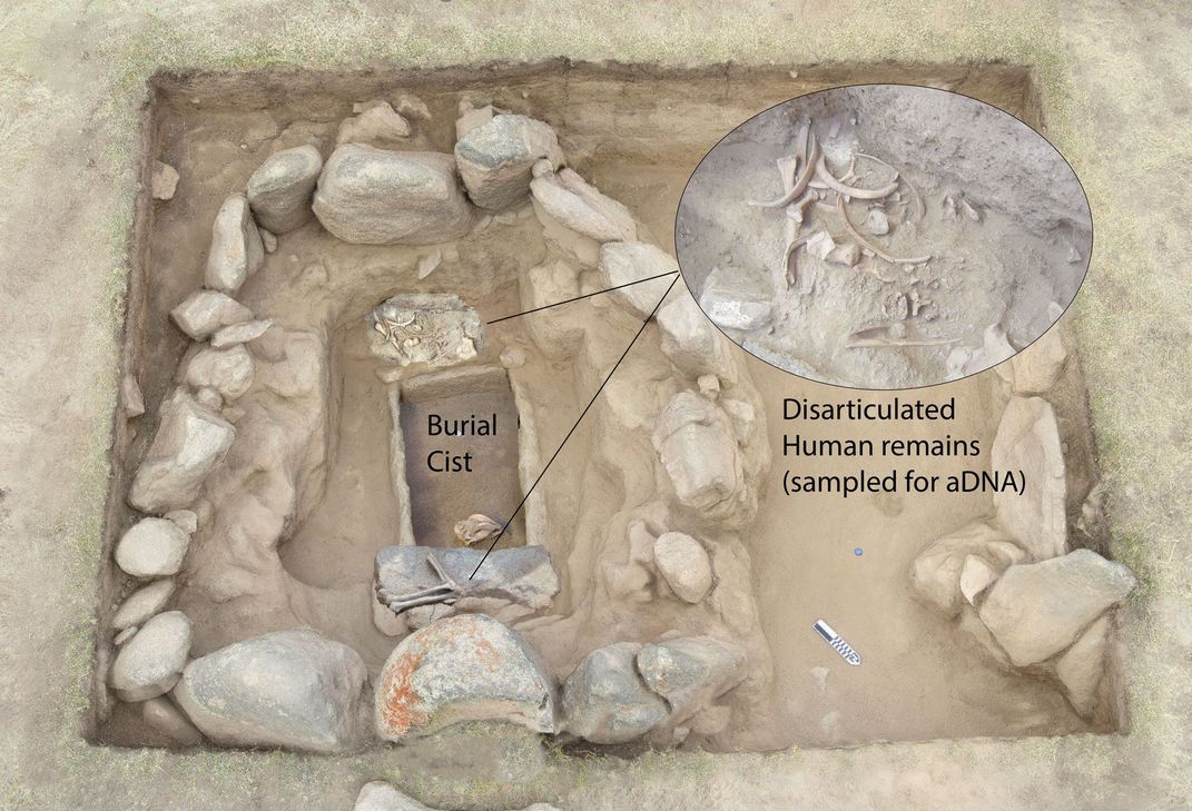 مقبرة الدفن التي تعود إلى العصر البرونزي الأوسط في دالي