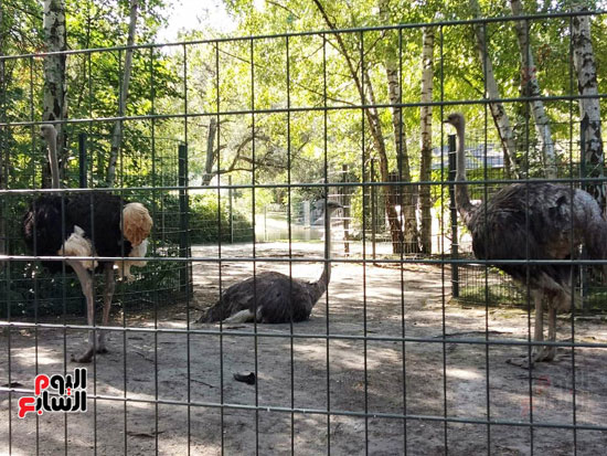 شاهد لقطات نادرة لحديقة حيوان برلين بألمانيا (19)