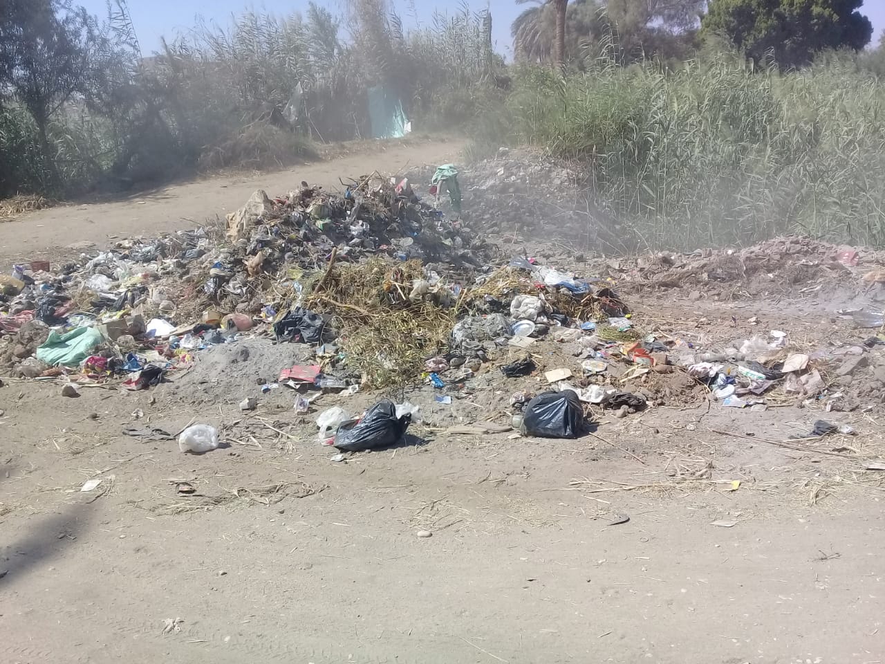 رفع تراكمات القمامة بشوارع الأقصر (4)