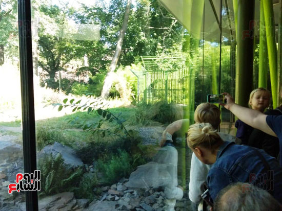 شاهد لقطات نادرة لحديقة حيوان برلين بألمانيا (13)