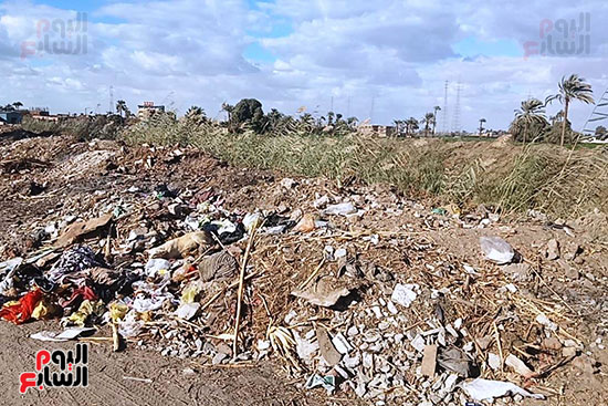 القمامة ومهلفات الترعة على جانبى ترعة قرية جزيرة الأكراد (4)