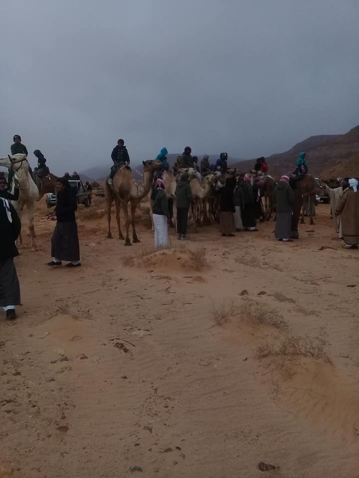 انتهاء فعاليات سباق الزلقة للهجن بجنوب سيناء (1)