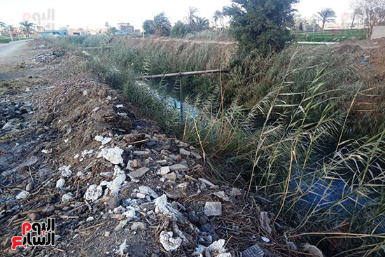 القمامة ومهلفات الترعة على جانبى ترعة قرية جزيرة الأكراد (3)