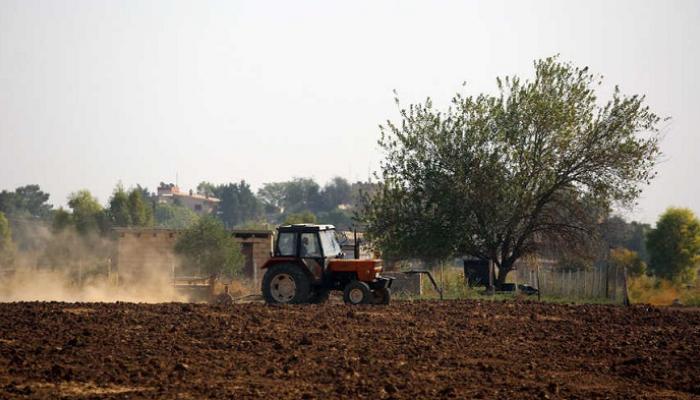 مساحات زراعة القمح في تركيا