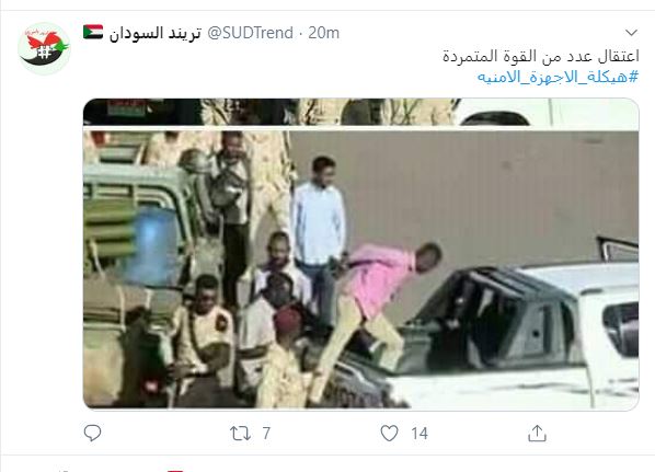 اعتقال عدد من القوة المتمردة فى السودان