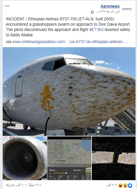 سرب جراد يواجه طائرة إثيوبية ركاب  (4)