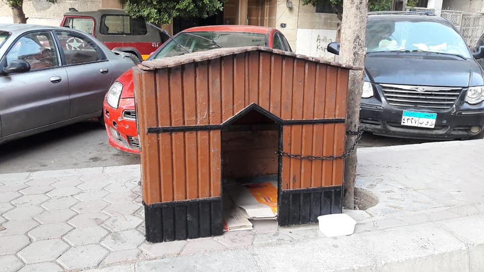 منزل الحيوانات الضالة