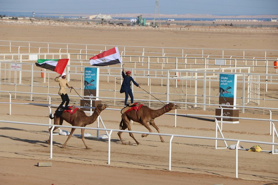 محافظ جنوب سيناء يشهد البروفة النهائية لفعاليات مهرجان شرم الشيخ التراثيالدولي (3)