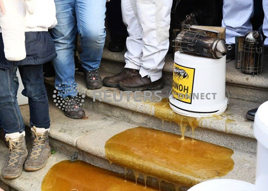 العسل-الملوث-على-سلالم-وزارة-الزراعة