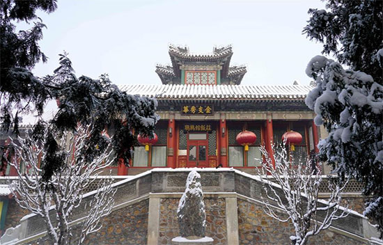 القصر الصينى