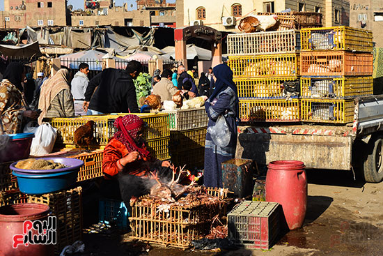 سوق فراخ (25)