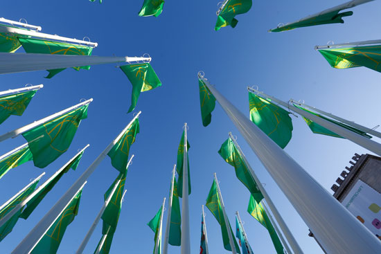 الأعلام الخضراء فى صدارة المعرض
